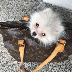 Meet your Posher, Jane